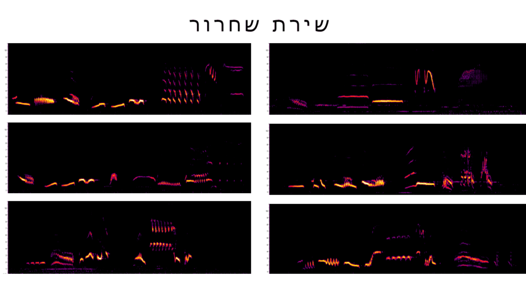 שירת שחרור
