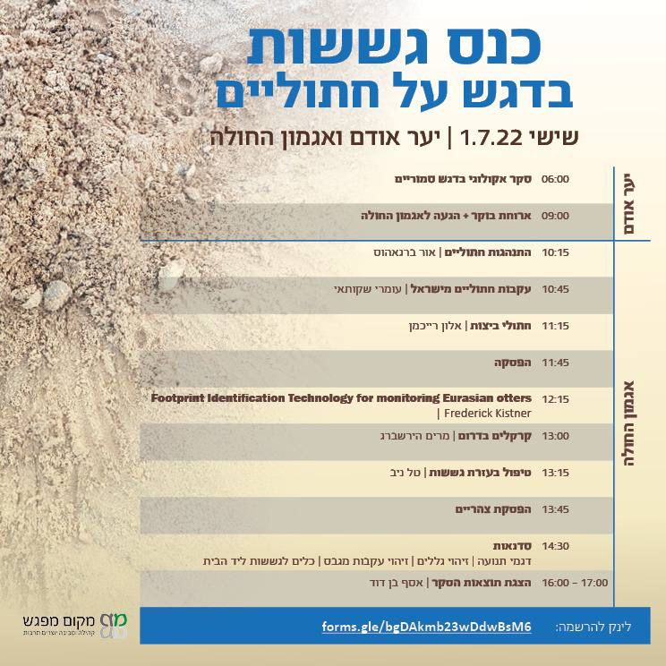 כנס גששות
