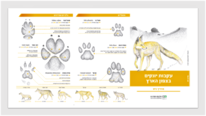 מדריך עקבות יונקים בצפון הארץ ומרכזה - מהדורה חדשה