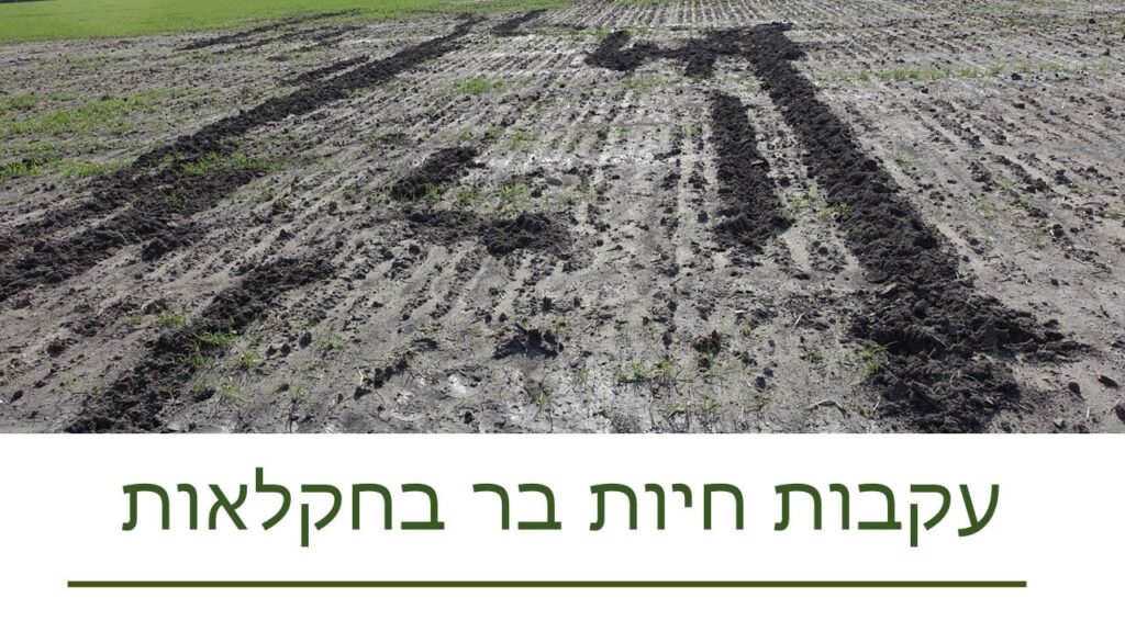agriculture tracks 2