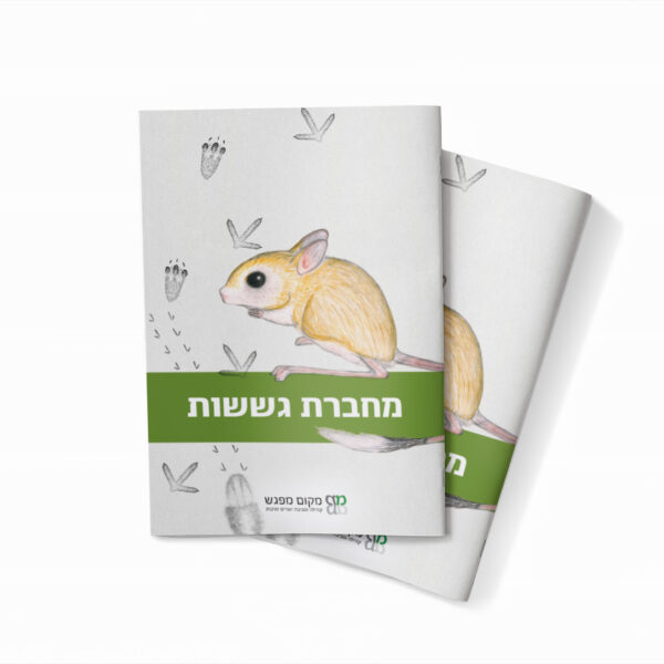 הדמיית מחברת גששות סגורה