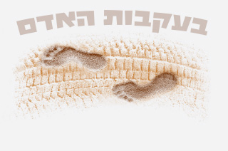 בעקבות האדם - קורס גששות