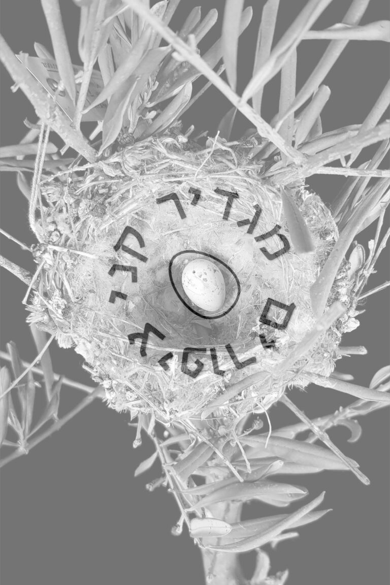 ברכיה - מקום מפגש