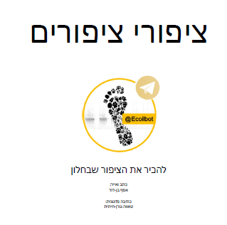 חוברת ציפורי ציפורים