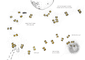 ספרון קיפודים