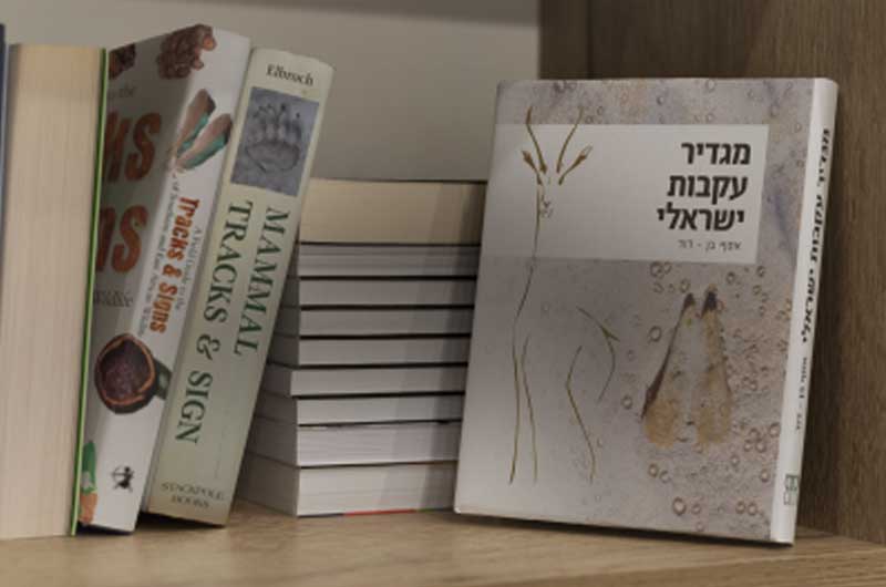 ספריה מקום מפגש