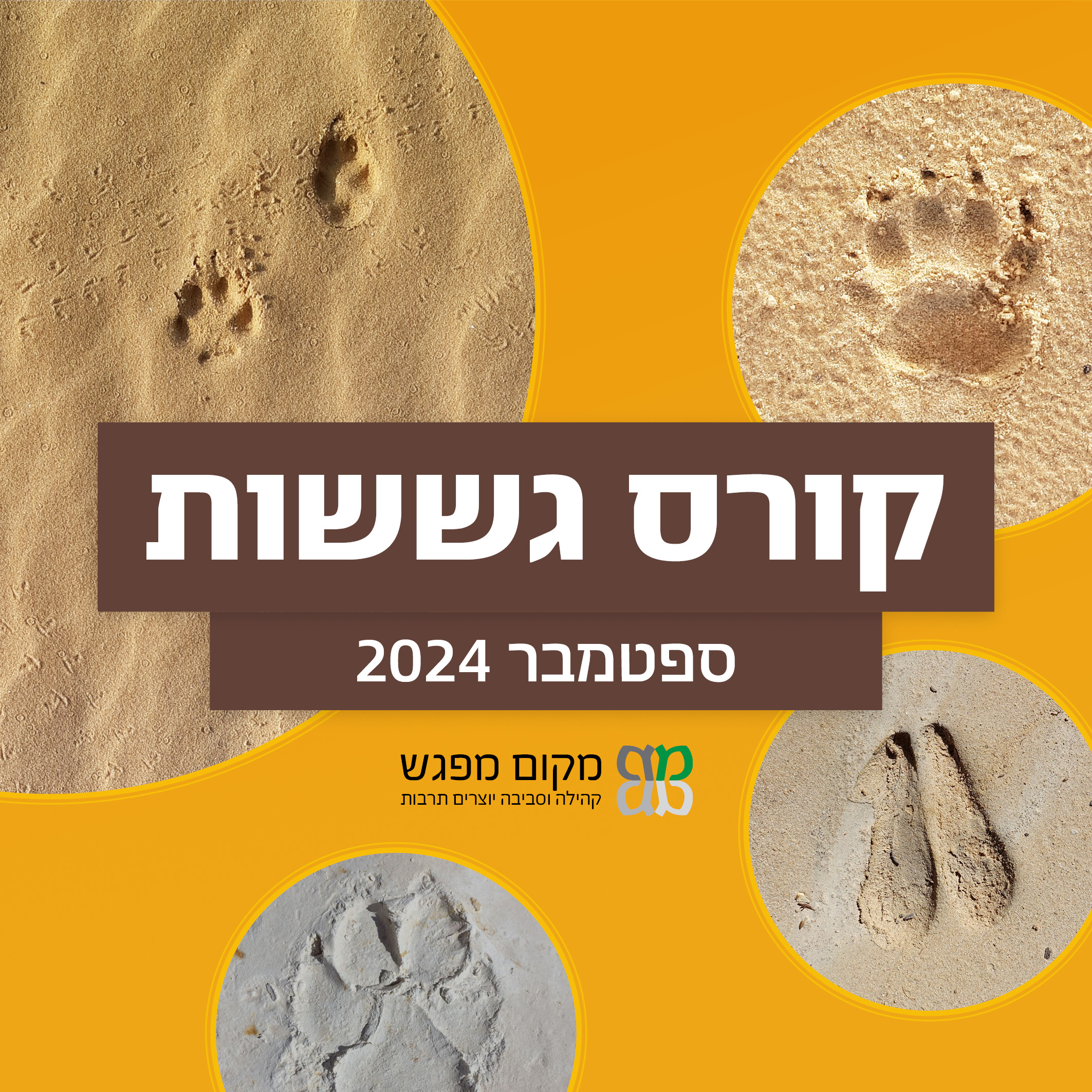 קורס גששות 2024 ספטמבר