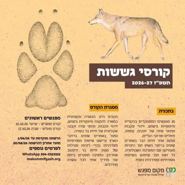 קורס גששות שנתי - אוקטובר 2026