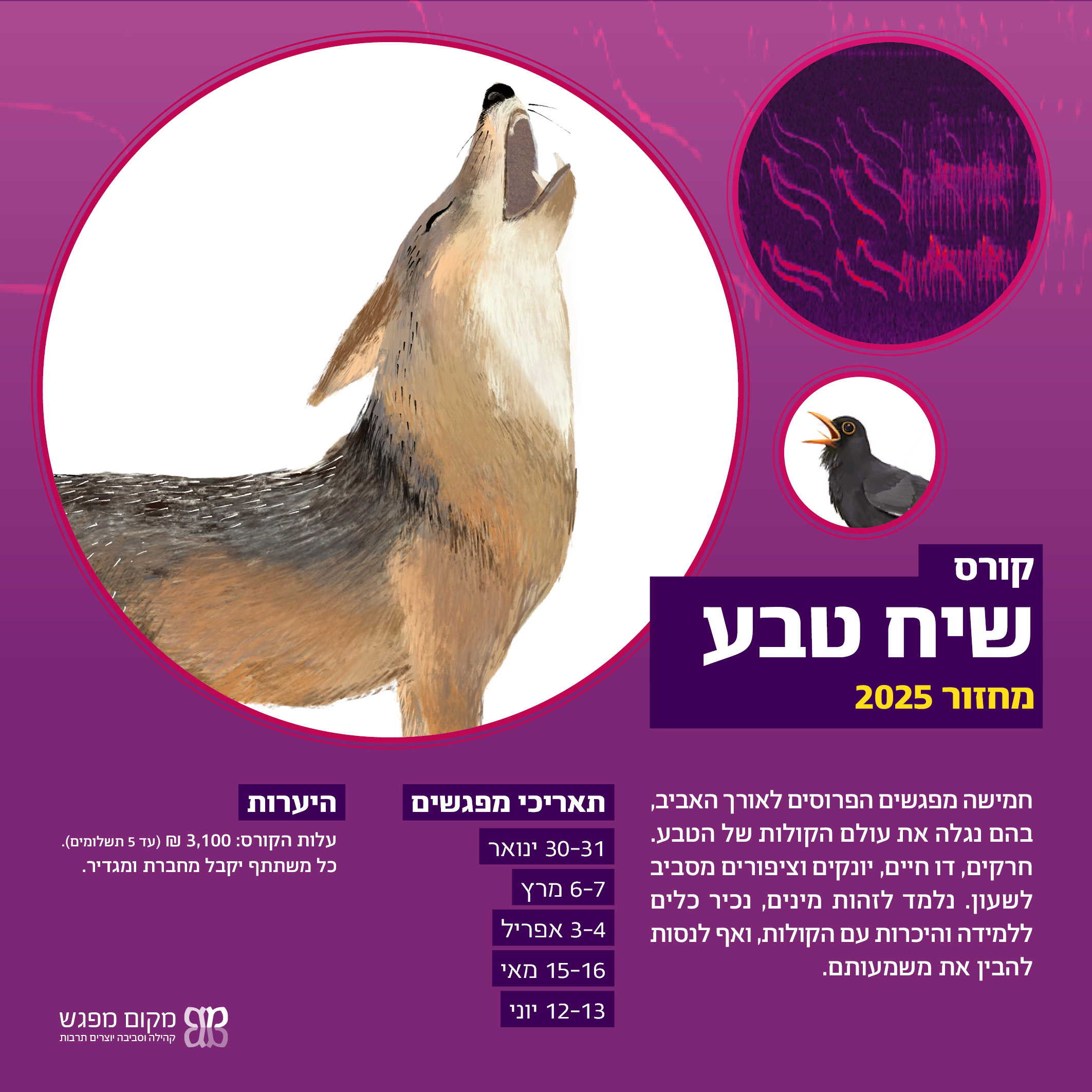 קורס אקולוגיה אקוסטית 20254 (2)