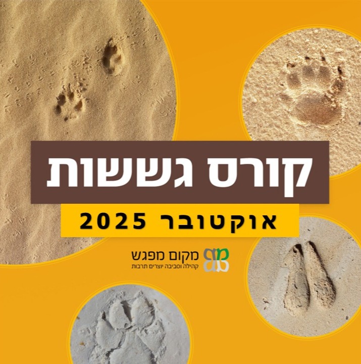 קורס גששות 2025 new