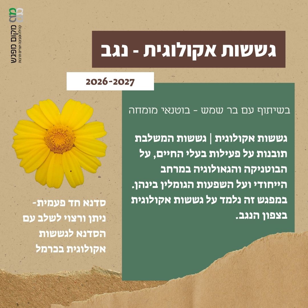 גששות אקולוגית - נגב