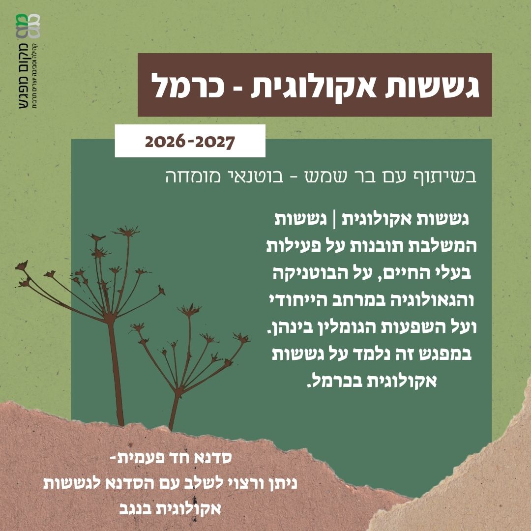 גששות אקולוגית - כרמל